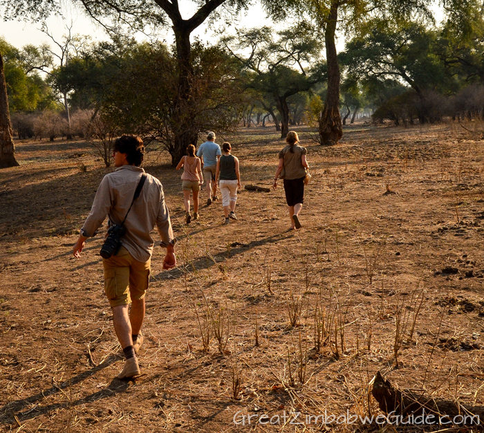 Mana Pools walk