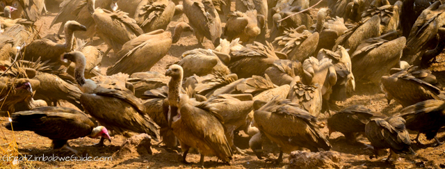 The Vulture Restaurant at Victoria Falls