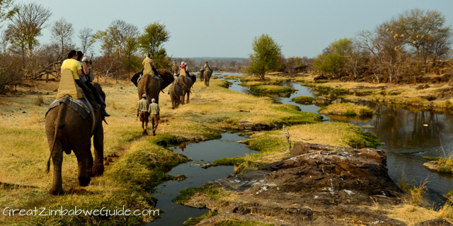 Wild Horizons elephant safari-3-2