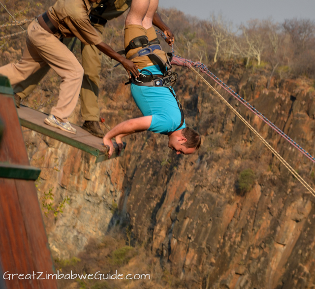 Wild Horizons gorge swing-1-2