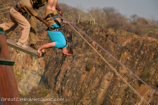 Wild Horizons gorge swing-1-7