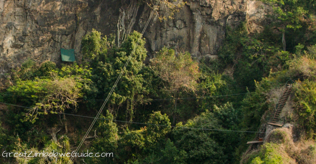 wild horizons canopy tour-1-5