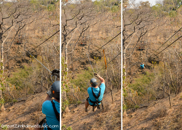 wild horizons canopy tour 2