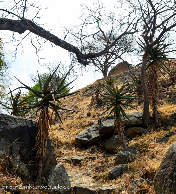 Bulawayo (1) Khami Ruins