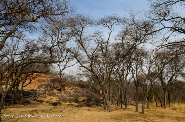 Khami Ruins Bulawayo Zimbabwe-1-10