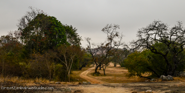 Great Zimbabwe Ruins Monument (1 of 1)-21