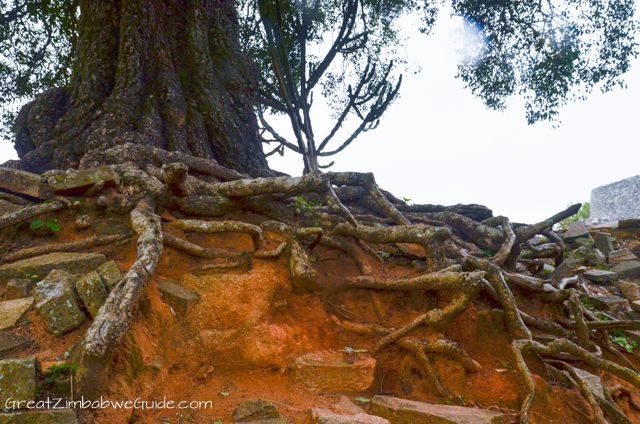 Great Zimbabwe Ruins Monument (1 of 1)-9