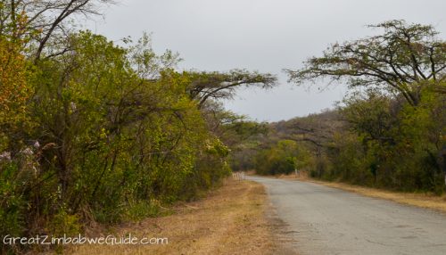 Great Zimbabwe Guide Accommodation-1-3