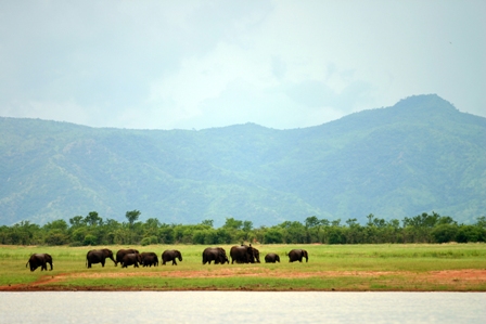 http://www.zimparks.org/index.php/gallery/kariba-matusadona/kariba-photos-6-150