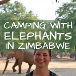 Camping with Elephants in Zimbabwe Africa