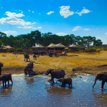 The most authentic safari camps in Zimbabwe: My top picks