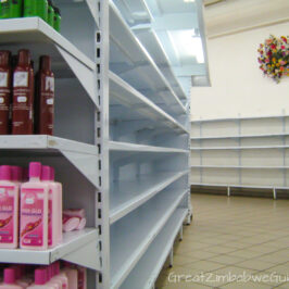 Great Zimbabwe Guide 2008 Supermarket Shelves