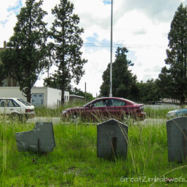 Great Zimbabwe Guide 2008 tombstones fuel queue