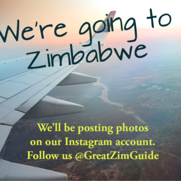 Don’t miss Zimbabwe travel updates!