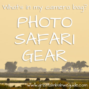 Photo safari gear: My camera bag