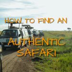 How to find an authentic safari Zimbabwe