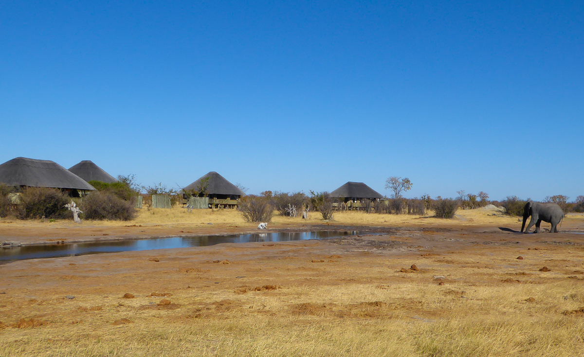 Nehimba Safari Lodge Hwange