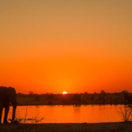 Shumba Pan Hwange National Park