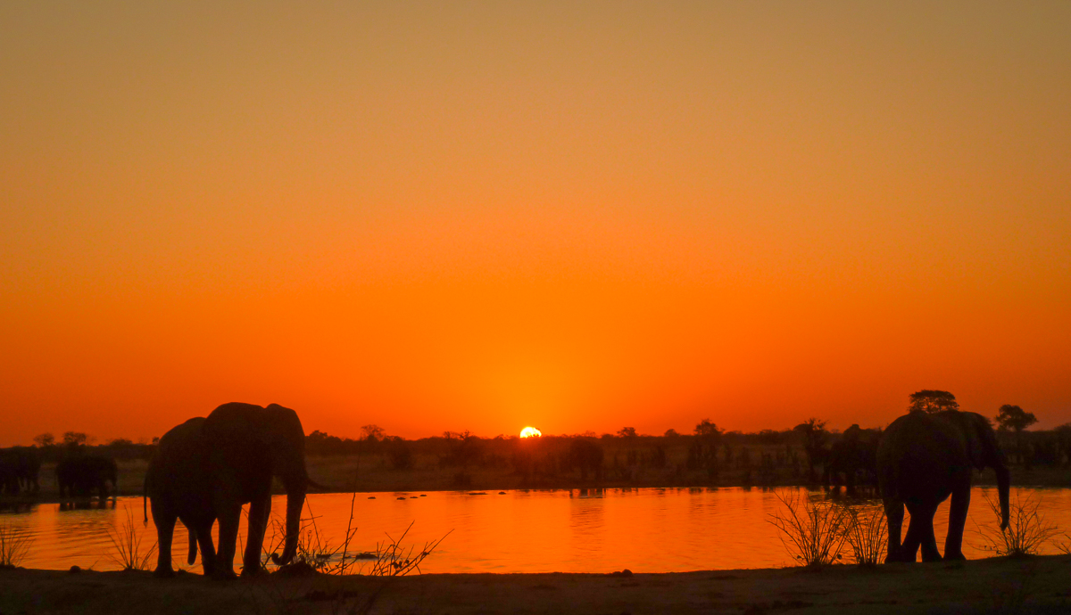 Shumba Pan Hwange National Park