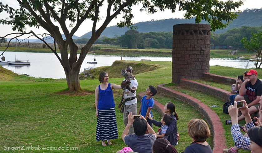 Bird Park Harare Zimbabwe Activities Display