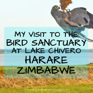 My visit to Kuimba Shiri Bird Park, Harare: The ideal family day out