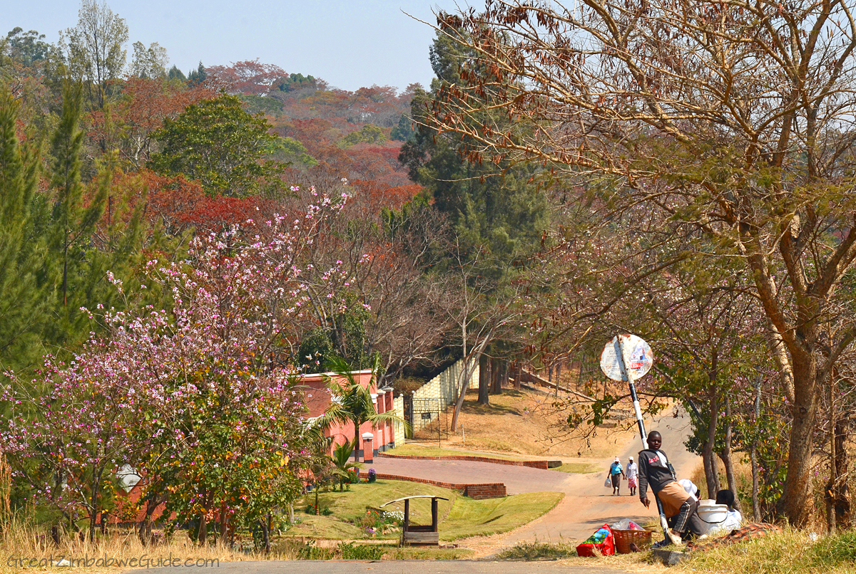 Harare Zimbabwe Urban Street