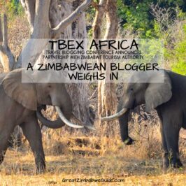 TBEX Africa Zimbabwe Blogger