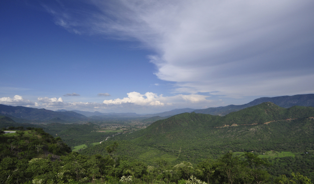 Vumba Bvumba Zimbabwe ZimSights