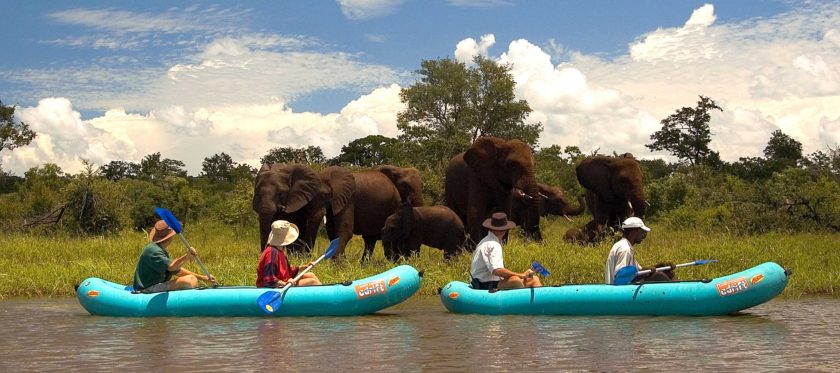 ZIMBABWE-MANA-POOLS-CANOE-AFRICA