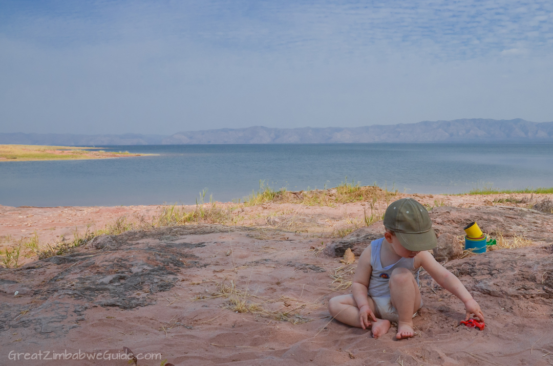 Spurwing Zimbabwe Kariba Family 