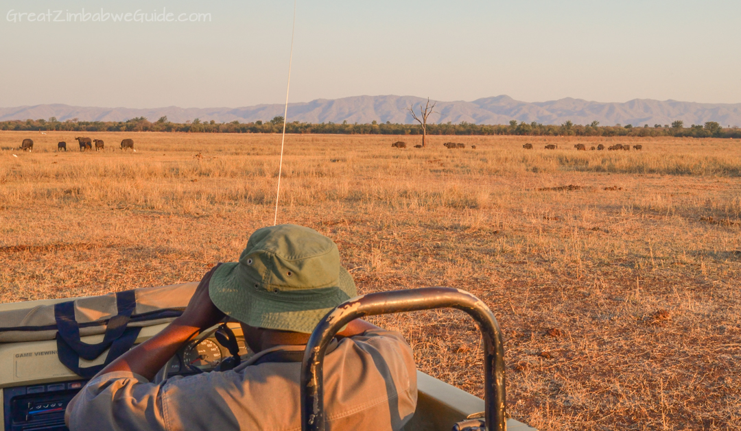 Spurwing Zimbabwe Kariba Game Drive 20