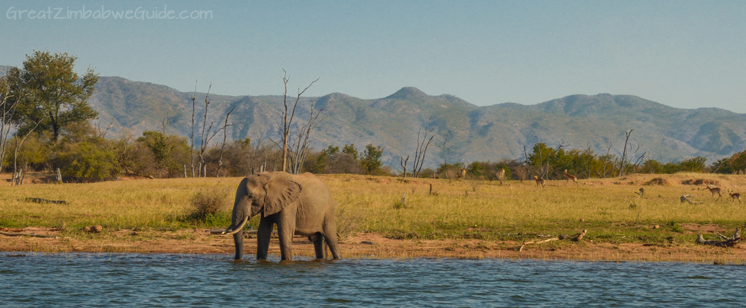 Spurwing Island Zimbabwe Kariba Game Drive 