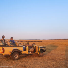 Matusadona National Park Kariba Zimbabwe Drive