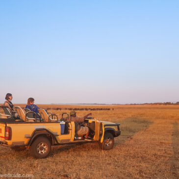 Game viewing in Matusadona National Park, Kariba: photo post