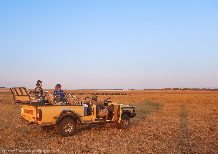 Matusadona National Park Kariba Zimbabwe Drive