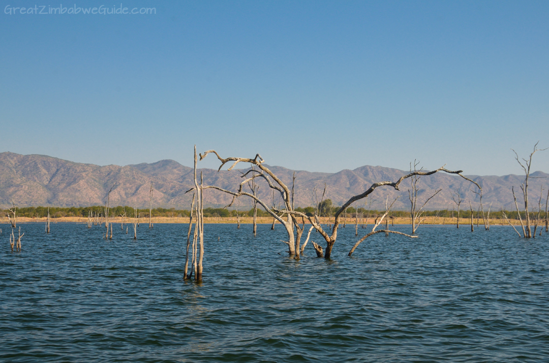 Lake Kariba Zimbabwe Drowned Forest