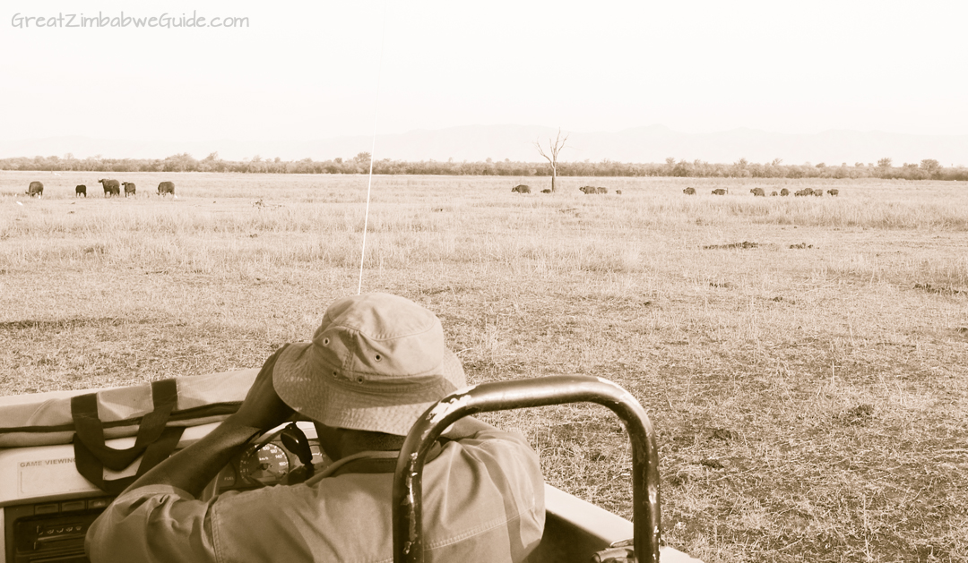 Great Zimbabwe Guide Wildlife Photography Kariba 09