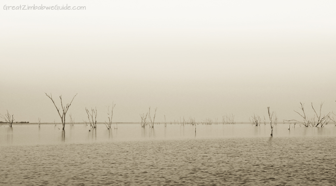 Great Zimbabwe Guide Wildlife Photography Kariba 14