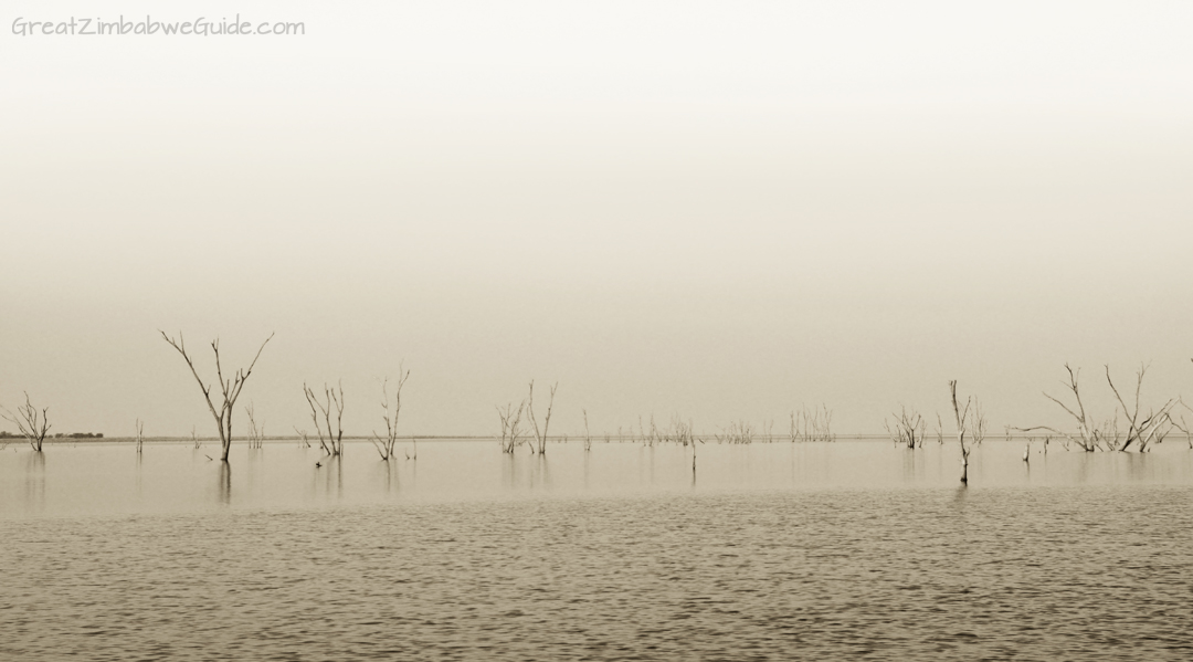 Great Zimbabwe Guide Wildlife Photography Kariba 14