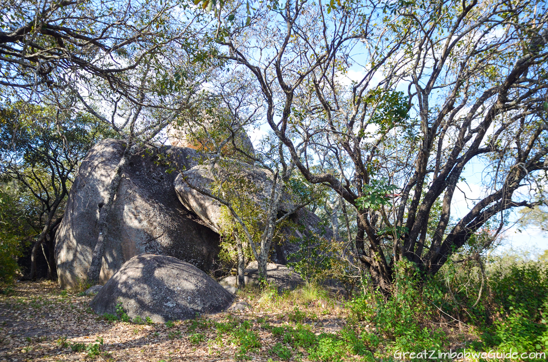 Haka Game Park Harare Zimbabwe 02