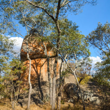 A picnic in Haka Game Park, Harare: photo post