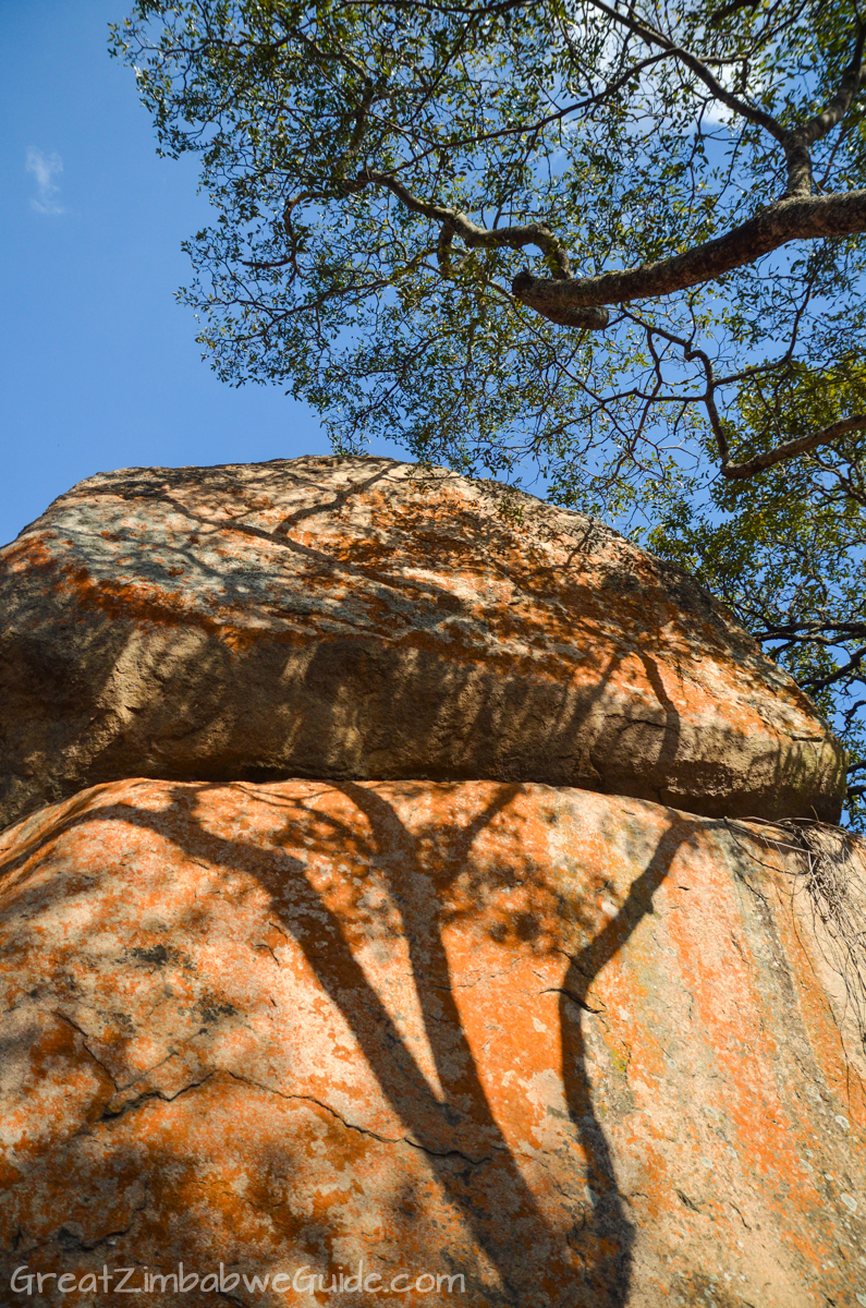 Haka Game Park Harare Zimbabwe 06