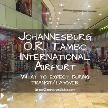 In transit through Johannesburg O.R. Tambo International Airport: international layovers