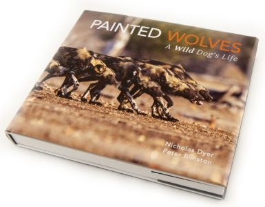 Painted Wolves Zimbabwe