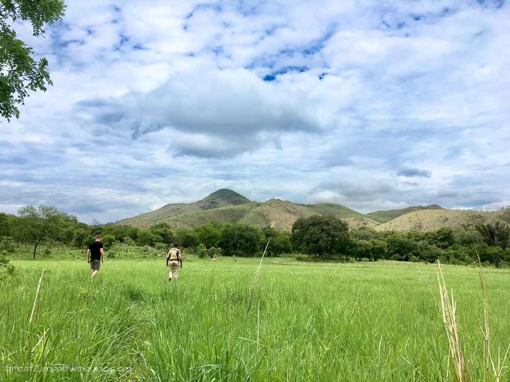 Zimbabwe Mavhuradona Wilderness Area Kopje Tops-1-7