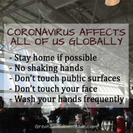 coronavirus 2020 great zimbabwe guide