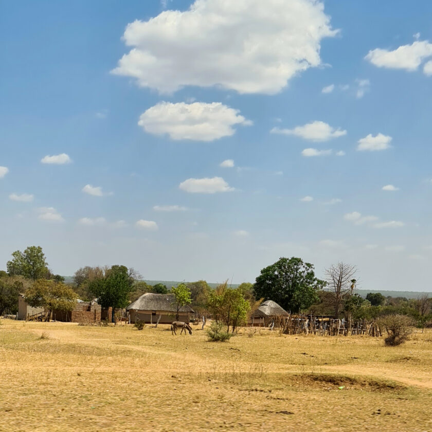 Zimbabwe rural smallholding