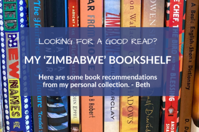 Bookshelf Gallery Book Zimbabwe