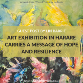 Art Exhibition in Harare Zimbabwe Lin Barrie