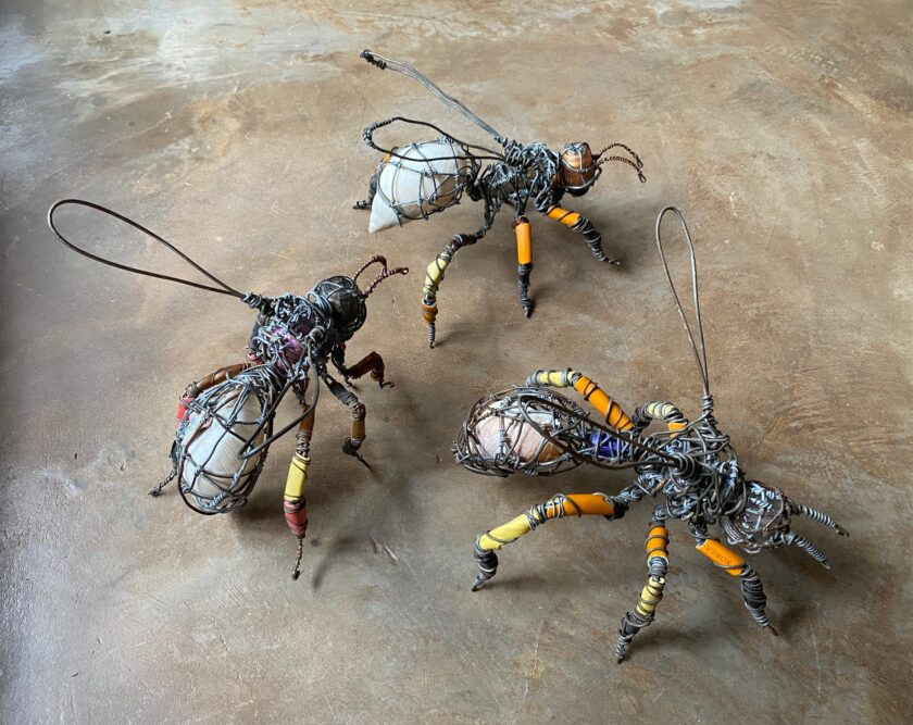Art exhibition in Harare Johnson Zuze wasps